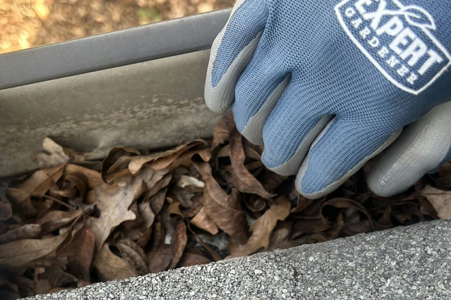 Gutter Cleaning Greer