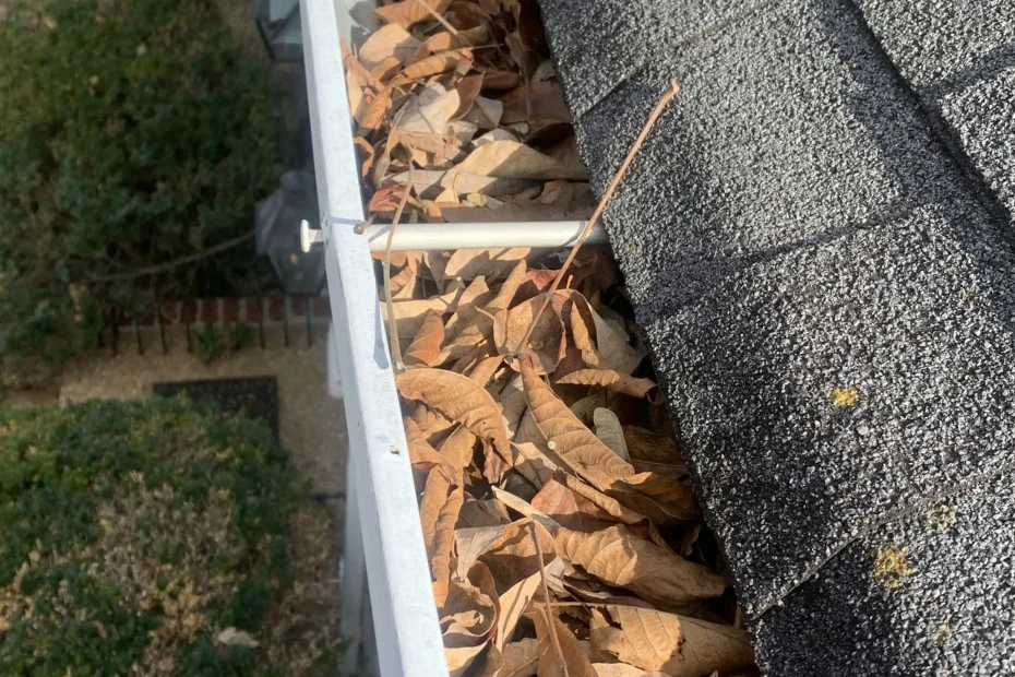 Gutter Cleaning Greer